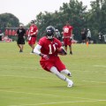 Julio Jones 2016 Fantasy Football