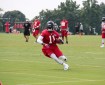 Julio Jones 2016 Fantasy Football